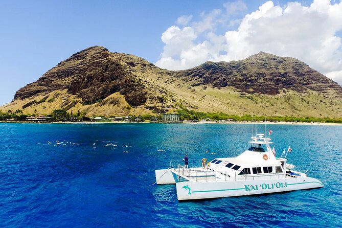 Private and Luxurious Sunset Cruise with Whale & Dolphin Watch - Whale and dolphin watch: how the crew likely puts you in position
