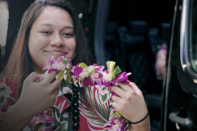 Private Arrival Transfer: Honolulu International Airport to Oahu Hotels or Cruise Terminal - The ride to your hotel or cruise terminal: timing, comfort, and the little wins