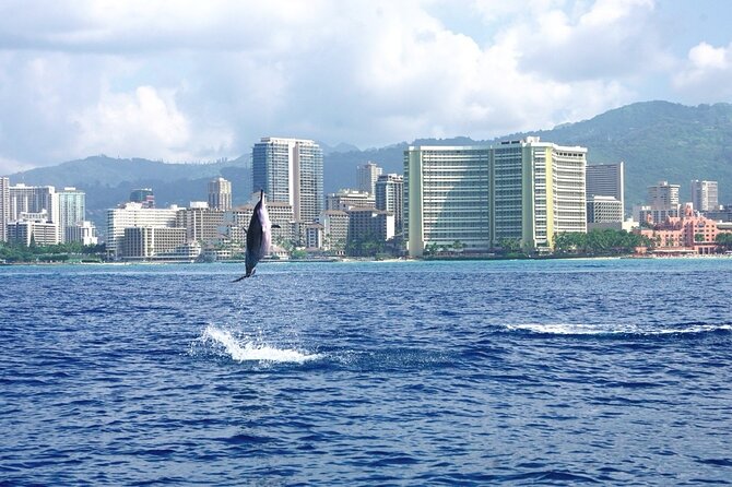 Private Boat Charter in Waikiki for Snorkeling and Events - Onboard comfort that makes snorkeling with kids or groups easier