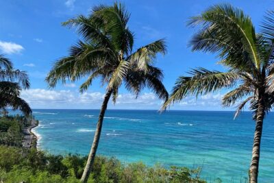 Private Circle Island Off-the-Beaten- Oahu Tour - Private Means You’re Not Fighting the Crowd (Most of the Time)