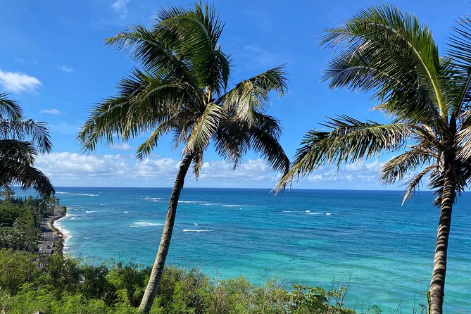 Private Circle Island Off-the-Beaten- Oahu Tour - Private Means You’re Not Fighting the Crowd (Most of the Time)