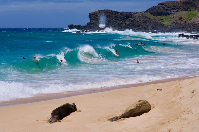 Private Circle Island Tour-Oahu-Customizable - Price and Value: What $189 Per Person Covers (and Why It Can Be Worth It)