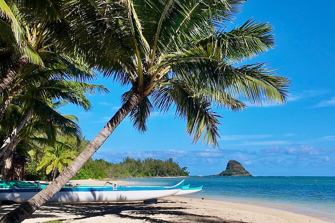 Private Circle Island Tour-Oahu-Customizable - Hanauma Bay, Halona Blowhole, Sandy Beach, and Makapu‘u: Geology Stops That Reset Your Eyes