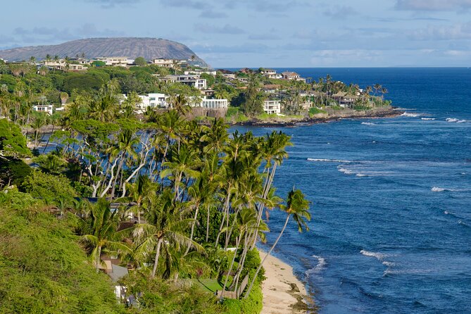 Private Circle Island Tour-Oahu-Customizable - Custom Stops That Change the Day: Dole Plantation, Waimea Valley, Manoa Falls, and More