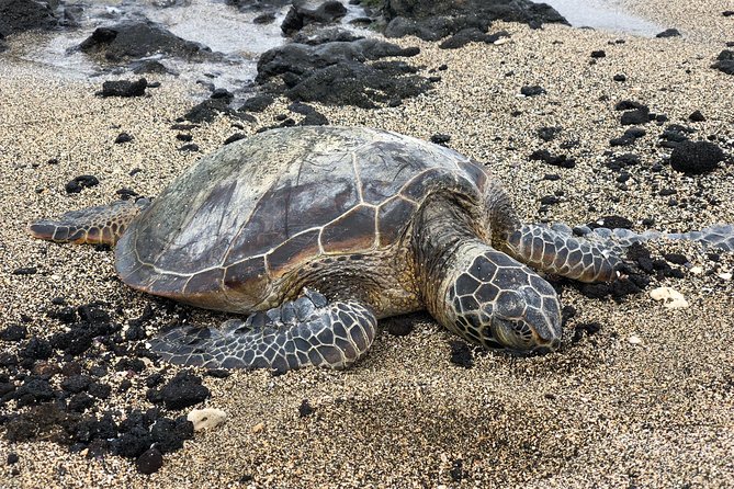 Private Circle Island Tour we build your dream Itinerary - The East Side Start: Hanauma Bay Trail, Makapu’u, Halona Blowhole