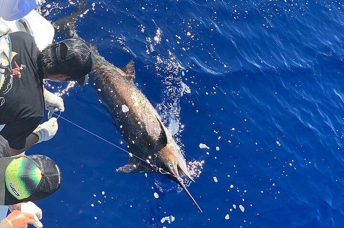 Private Deep Sea Full-Day Fishing Charter in Hawaiian Waters - Value: what $1,190 buys when you split it five ways