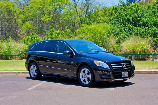 Private Departure Transfer: Oahu Hotels or Honolulu Cruise Terminal to Honolulu International Airport - Key Points to Know Before You Ride