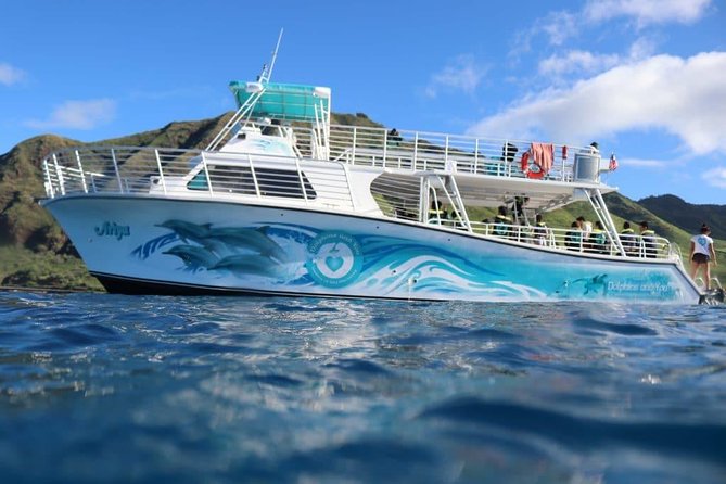 Private Dolphin Swim with Slide for up to 15 Passengers - Boarding the 55-foot power boat: comfort, bathrooms, and easy spotting