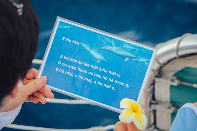 Private Dolphin Swim with Slide for up to 15 Passengers - The dolphin hunt and swim: spinner dolphins are wild, not a guarantee