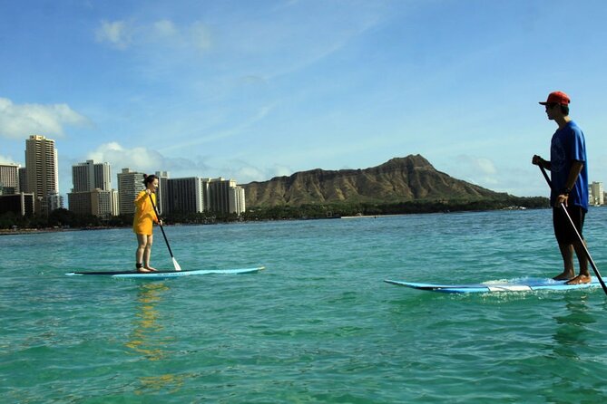 Private Group SUP Lessons by Waikiki Beachboys at the Royal - Ocean wildlife: the honest chance to see turtles