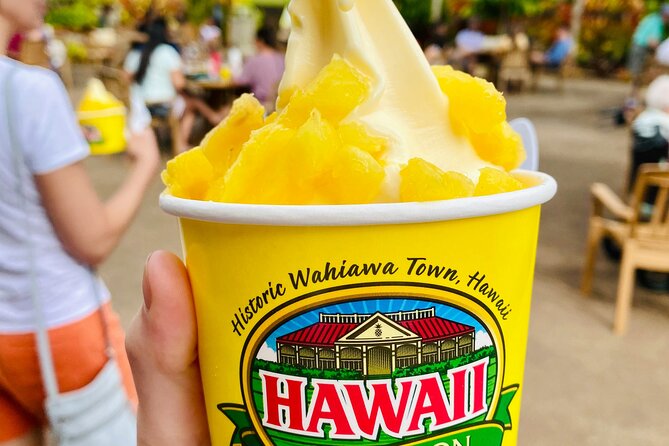 Private Half-Day Circle Island Highlights Tour in Oahu - Key highlights you’ll actually feel on the day