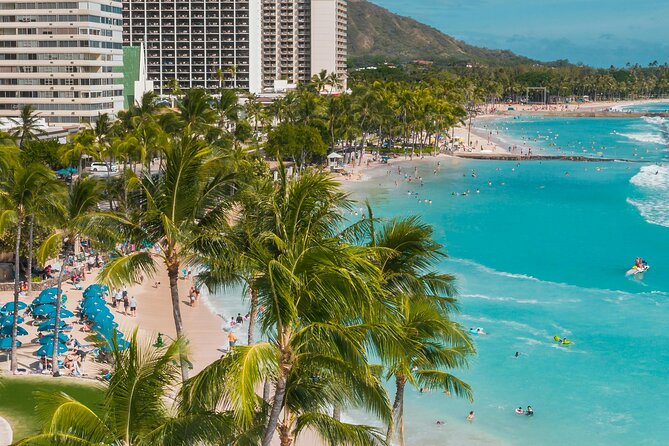 Private Half-Day Circle Island Highlights Tour in Oahu - Comfort, pickup, and the small logistics that make or break the day