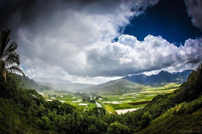 Private luxury tour of Oahu island - Green World Coffee Farms: North Shore Coffee That Doesn’t Feel Like a Souvenir Stop