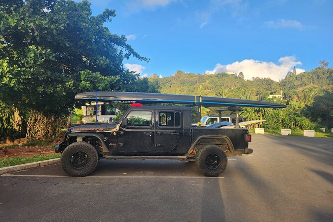 Private North Shore Hawaiian outrigger Canoe and turtle adventure - Who This Trip Is Perfect For (And Who Should Think Twice)