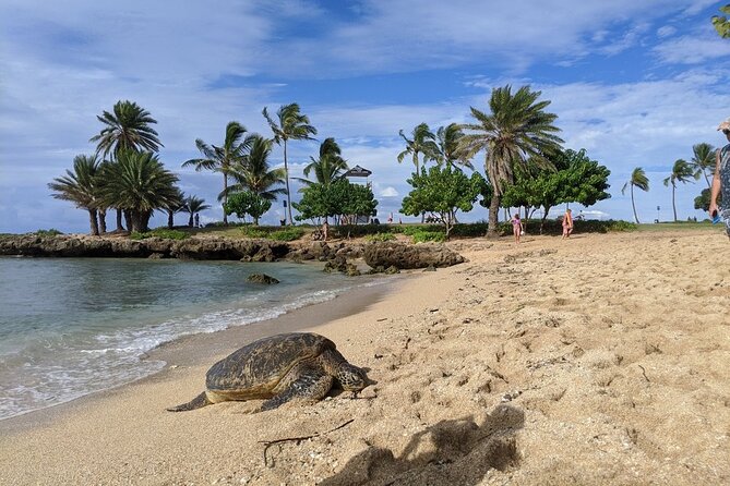 Private Oahu Circle Island Tour - Halona Blowhole and Makapu‘U Point: ocean power and whale-watch potential