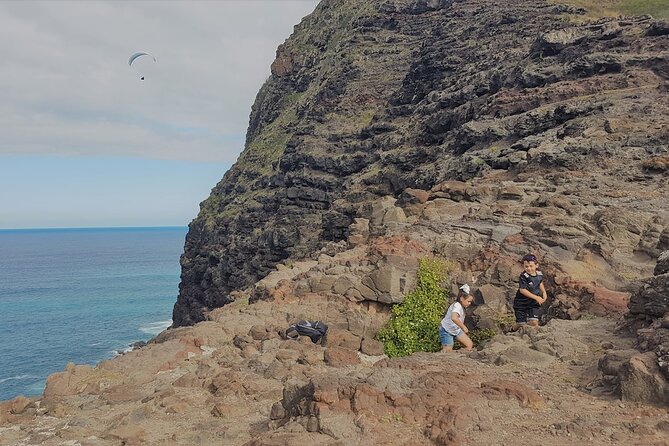 Private Oahu Circle Island Tour - Oahu’s North Shore: surf breaks, turtle-possible moments, and season shifts