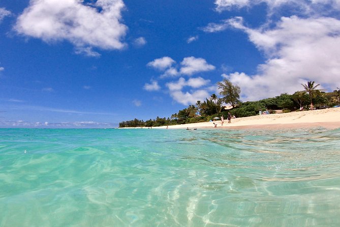 Private Oahu Pearl Harbor and Island Sightseeing Combination Tour - North Shore flavor: waterfalls, Dole, Turtle Bay, and big-wave reality