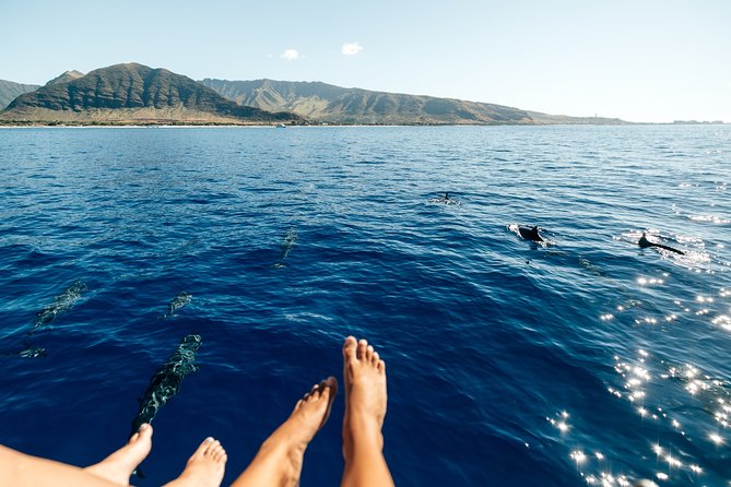 Private Oahu Sunset Charter with Tasting and Drinks - Who this private Oahu sunset charter suits best