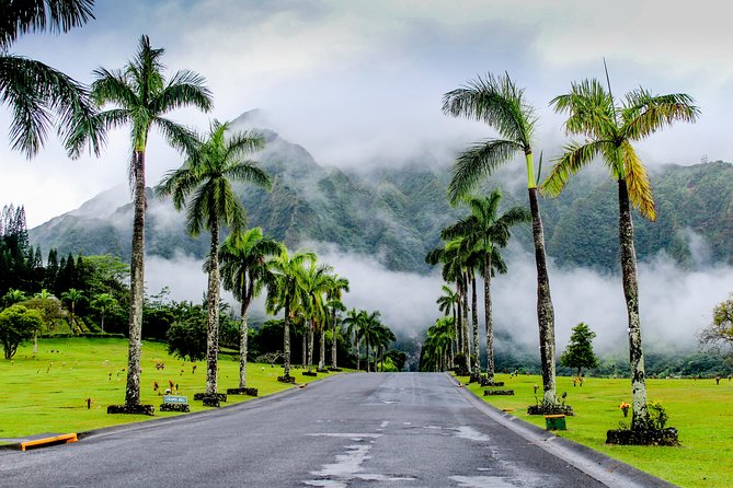 Private Oahu Van Tour - What to Bring and How to Stay Comfortable
