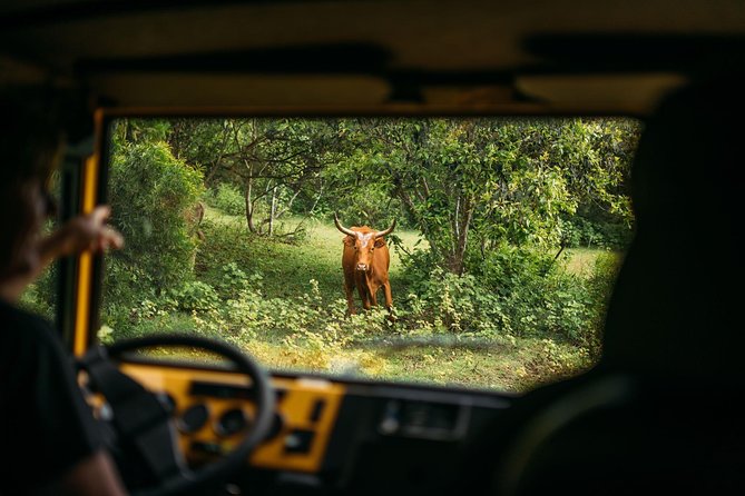 Private Off-Road Adventure Tour - Price and what your $197 is really buying