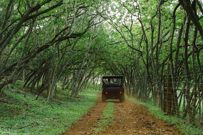 Private Off Road Explorer's Tour - Where to meet in Laie, what to bring, and how to plan your day
