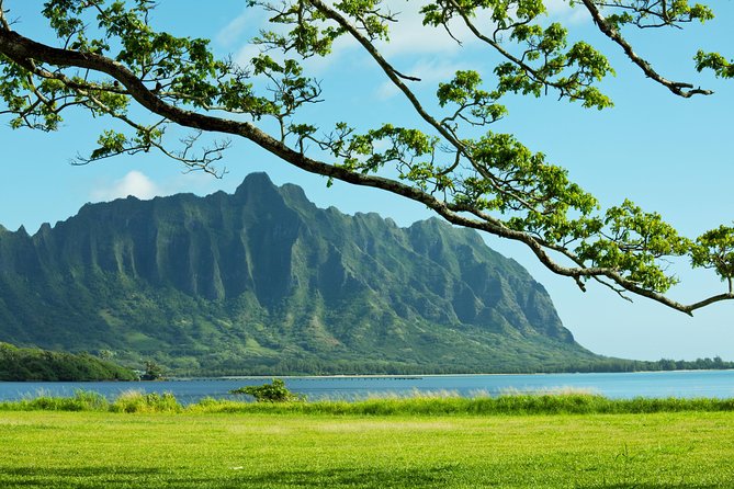 Private Pearl Harbor and Scenic Oahu Tour - Your private guide and the practical value of $385