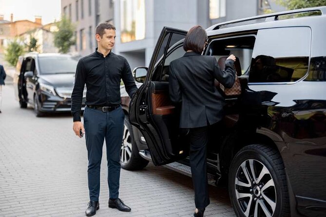 Private Round-Trip Transfer: Honolulu International Airport to Hotel or Cruise Terminal - Who this transfer suits best (and who might look elsewhere)