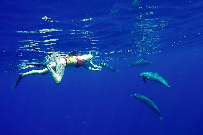 Private Sea’fari Expedition • 8 Guests Included (Expandable) - Hale Kai and the On-Board Feel: Comfort That Still Lets You Watch Wildlife