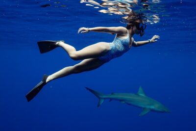 Private Shark Dive, Oahu, Hawaii (6 Guest) - Two hours of open-water time: what the experience is really like