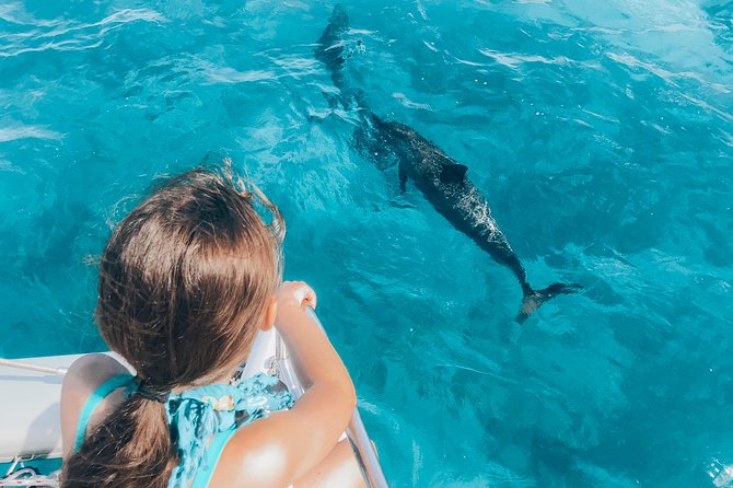 Private Snorkel Trip from Oahu on a Yacht - Snorkeling After Anchoring: Gear, Instruction, and Easy Water Options