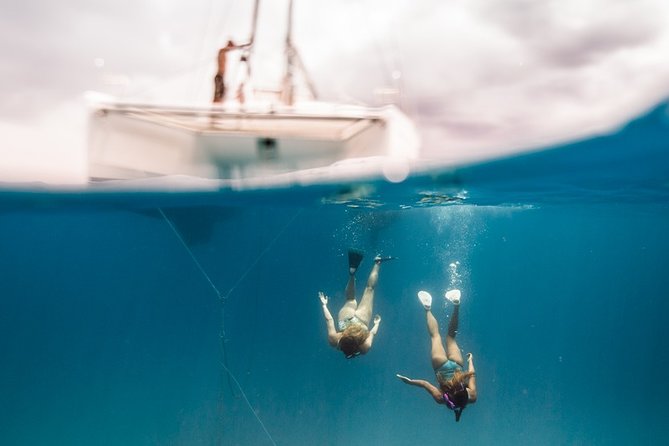 Private Snorkel Trip from Oahu on a Yacht - Hosted Bar and Lunch on Wraparound Decks: Where the Value Actually Shows Up