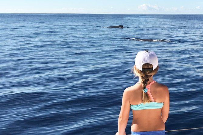 Private Snorkel Trip from Oahu on a Yacht - Getting On Board: Ko Olina Marina, a 10:00 Start, and a Simple Route