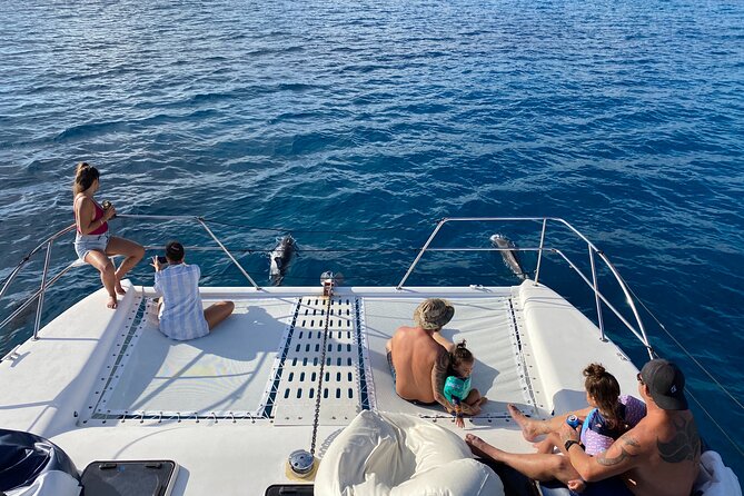 Private Sunset Catamaran Cruise in Waikiki - Snorkeling time: turtles, reef sharks, and real help in the water