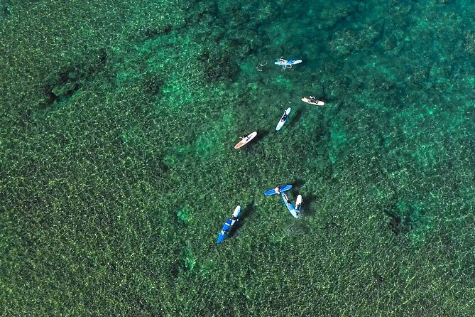 Private Surf Lesson for 3-5 People in North Shore Oahu - What You Actually Learn on Land Before You Paddle