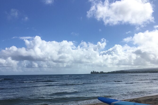 Private Surfing Lessons on the North Shore of Oahu - Who This Surf Lesson Fits Best
