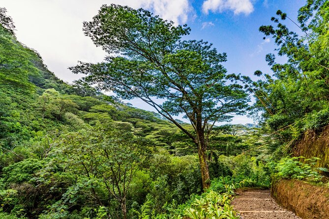 PRIVATE TOUR-Hike Diamond Head & Hawaiian Waterfall - Early 6 a.m. Timing for Diamond Head Views and Manoa Mist