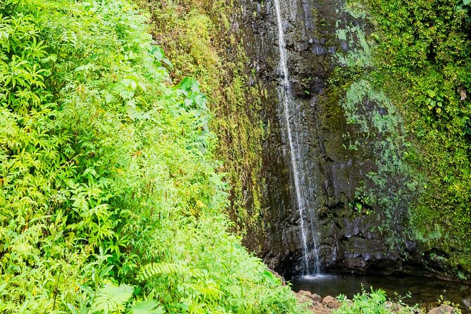 PRIVATE TOUR-Hike Diamond Head & Hawaiian Waterfall - How Private-Group Guidance Feels (and Why Austin’s Commentary Helps)