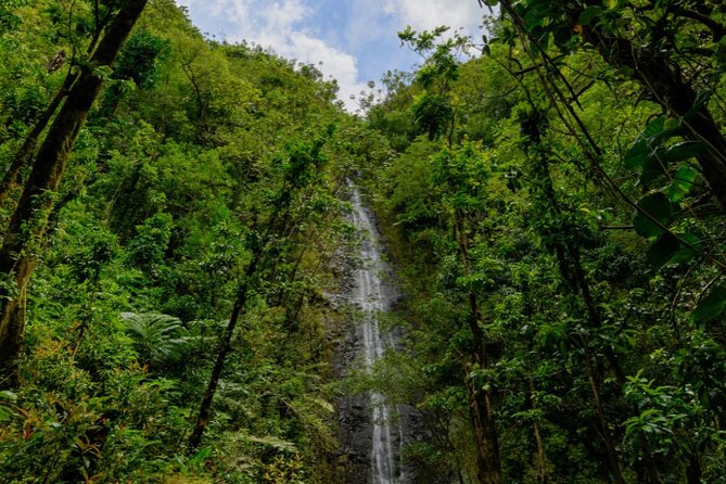 PRIVATE TOUR-Hike Diamond Head & Hawaiian Waterfall - Book It or Pass: Who This Tour Fits Best
