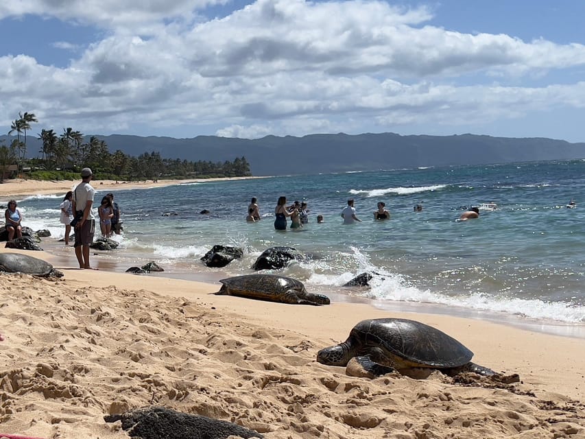 Private Tour Oahu-Circle Island-Customizable - Key Points I’d Plan Around
