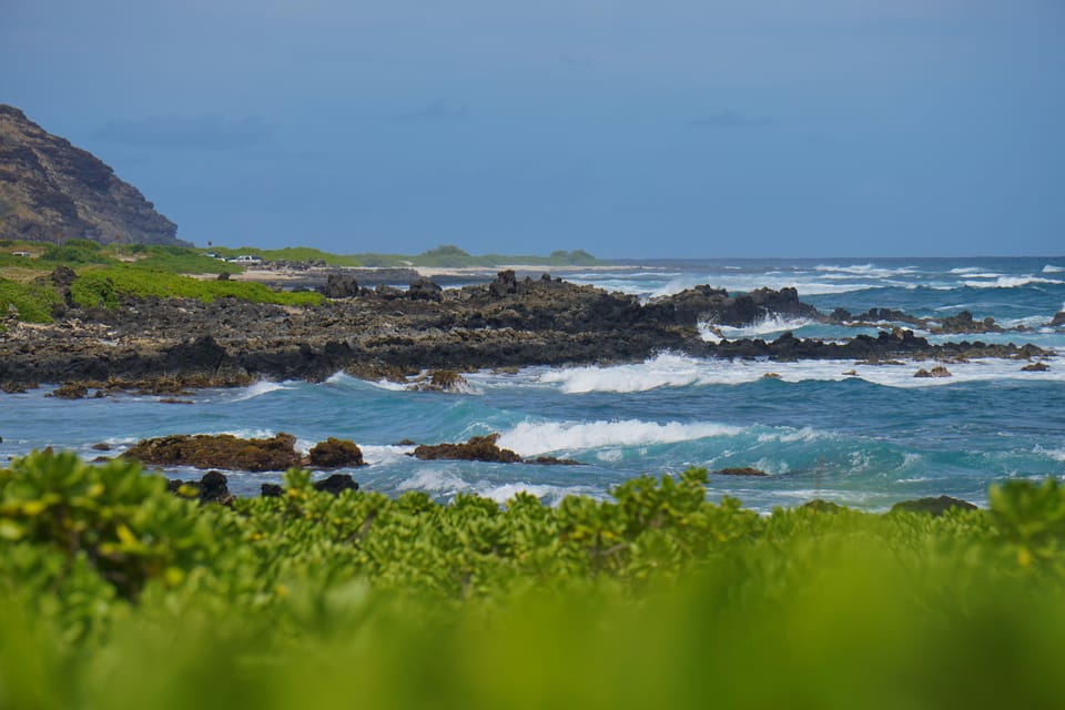 Private Tour Oahu-Circle Island-Customizable - Halona Blowhole to Sandy Beach: Wind, Crashing Waves, and Quick Stops