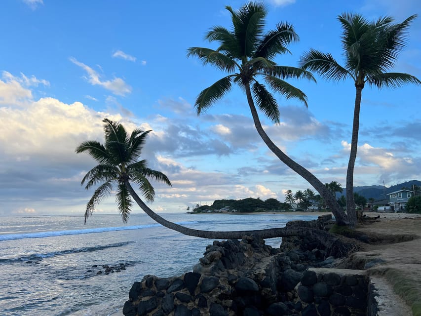Private Tour Oahu-Circle Island-Customizable - Makapuʻu Lookout: The Panoramic Stretch That Sets the Tone