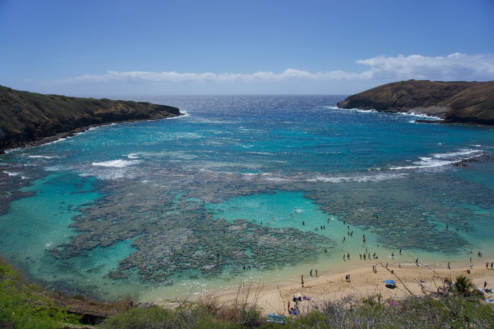 Private Tour Oahu-Circle Island-Customizable - Haleʻiwa Beach Park, North Shore Views, and Turtle Beach Pass-By