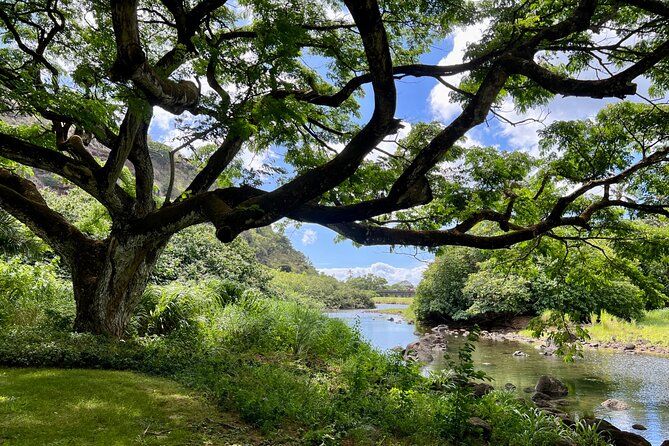 Private Tour Oahu including Waimea Waterfall-Customizable - How private touring changes your Oahu day