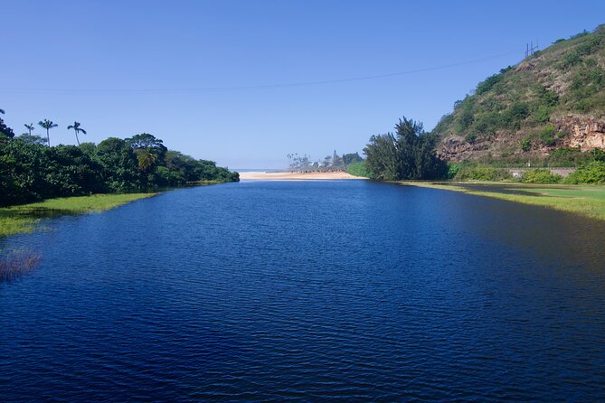 Private Tour Oahu including Waimea Waterfall-Customizable - Waimea Valley and the waterfall: the heart of the day