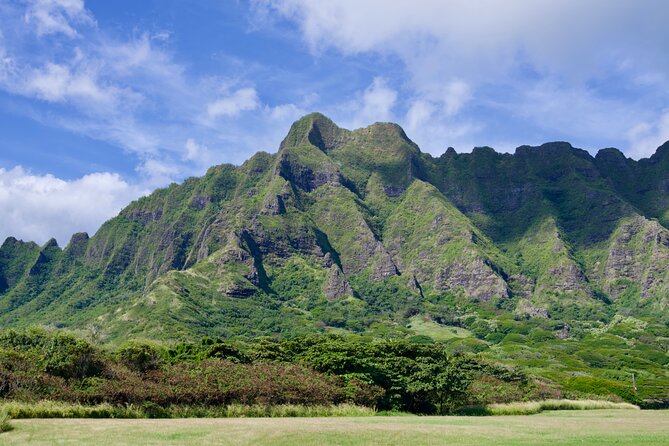 Private Tour Oahu including Waimea Waterfall-Customizable - North Shore flavors: food trucks, plus a Waimea Valley restaurant option