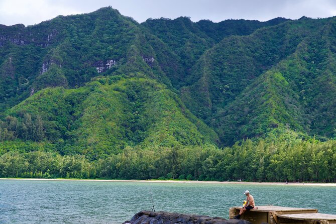 Private Tour Oahu including Waimea Waterfall-Customizable - Nu’uanu Pali Lookout: panoramic views with a history stop