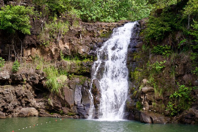 Private Tour Oahu including Waimea Waterfall-Customizable - Picking up in Waikiki and getting your bearings fast