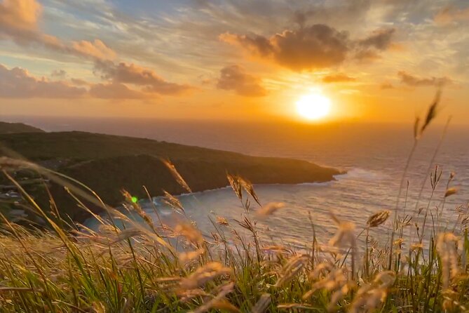 Private Tour Oahu - up to 6 passengers - Customizable - Mokoli’i Island (Chinaman’s Hat) and Kualoa Beach Park: Jurassic Park scenery in real life