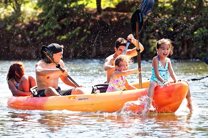 PRIVATE TOUR-Ultimate North Shore Experience - Price and value for a private group of up to 4