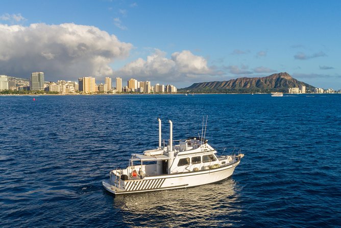 Private Turtle Canyon Snorkel Tour - Up to 6 Passengers - Private Turtle Canyon snorkeling from Waikiki: what you’re really buying